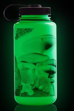 32oz-WM-Glow_Black-Mushrooms-505x757