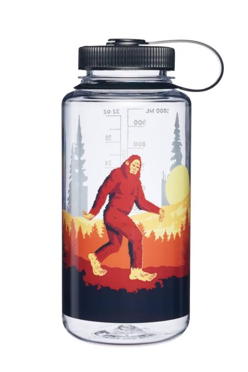 Sasquatch_Front-667x1000-1.jpg inform.